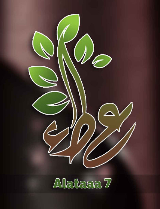 Alataaa 7