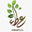 Alataaa logo